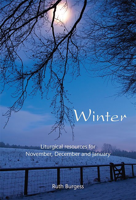 Winter Book Cover