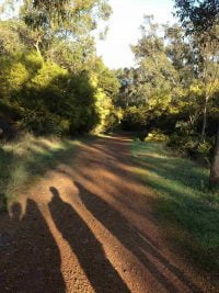 Shadows of people on a dirt path in the bush