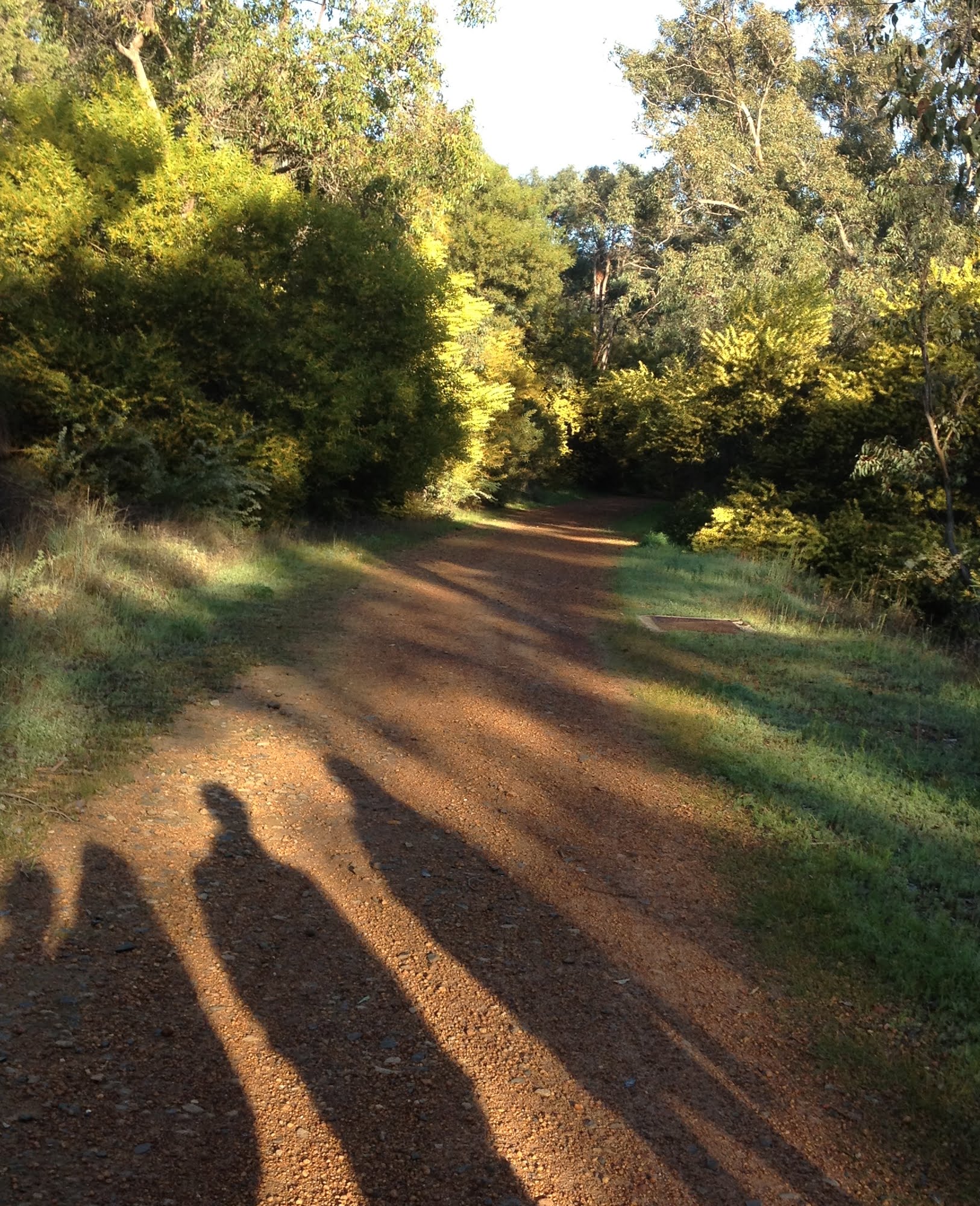on the path together walking shadows