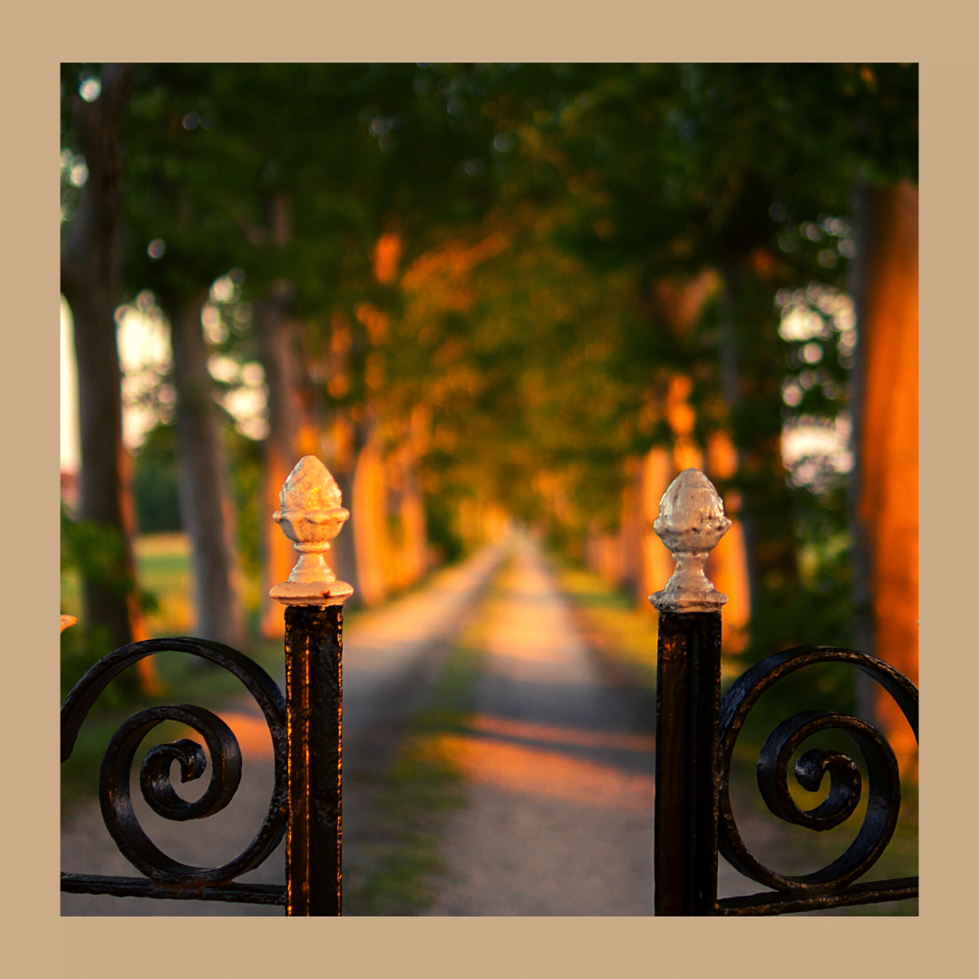 Sunlit gate and path