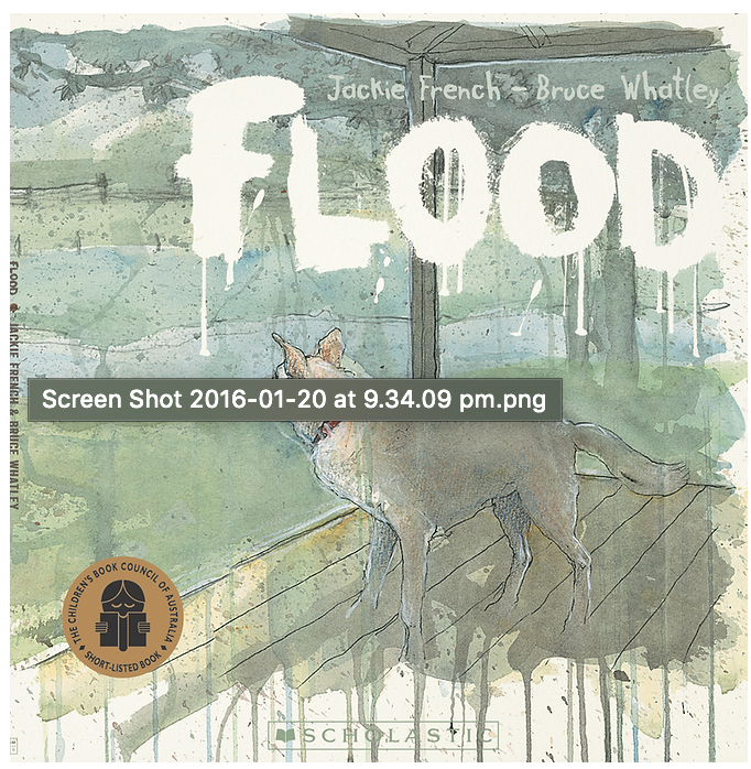 Book cover. Flood by Jackie French. Illustrator, Bruce Whatley.